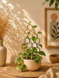 HexaGrow Plant Trellis