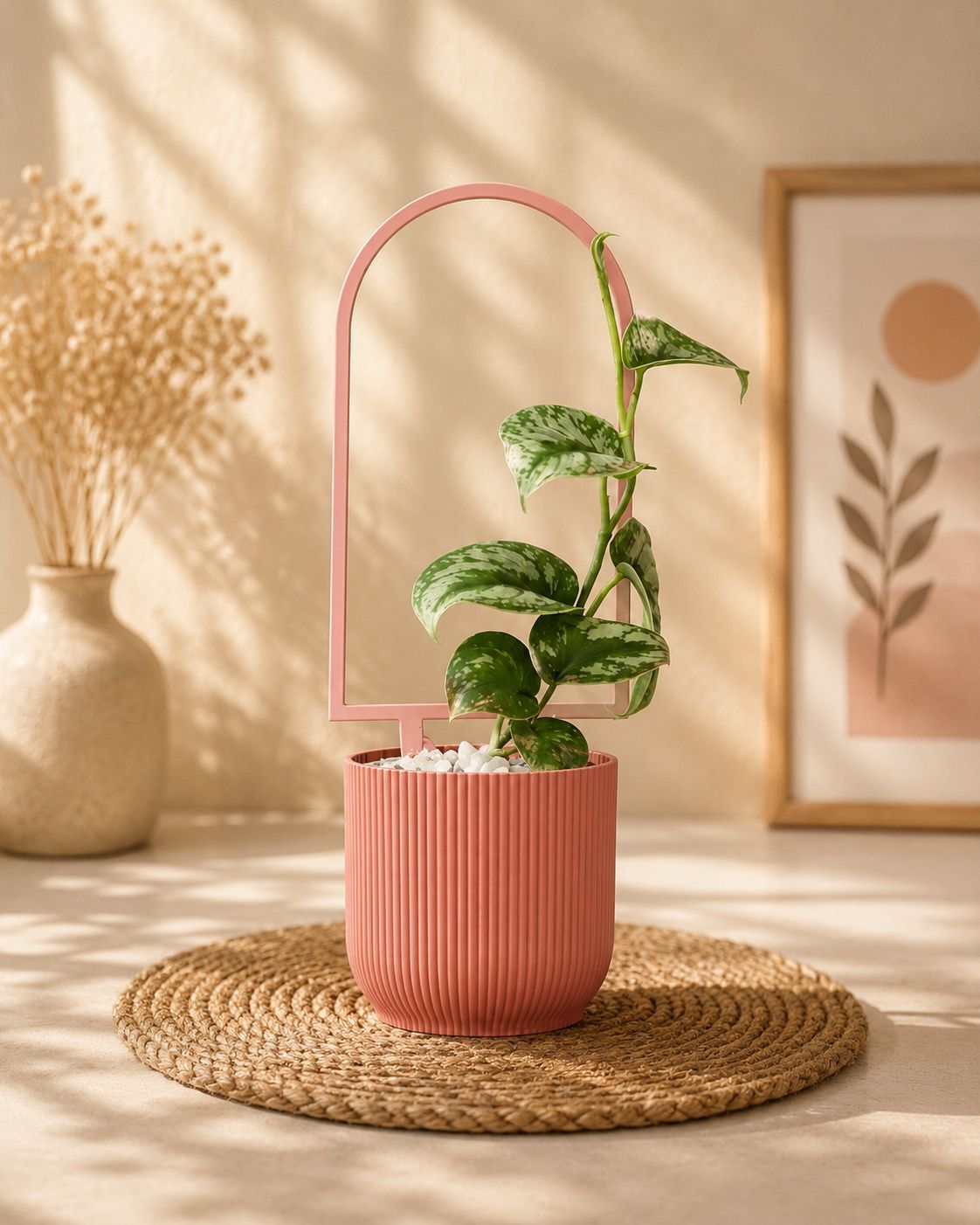 Arch Plant Trellis